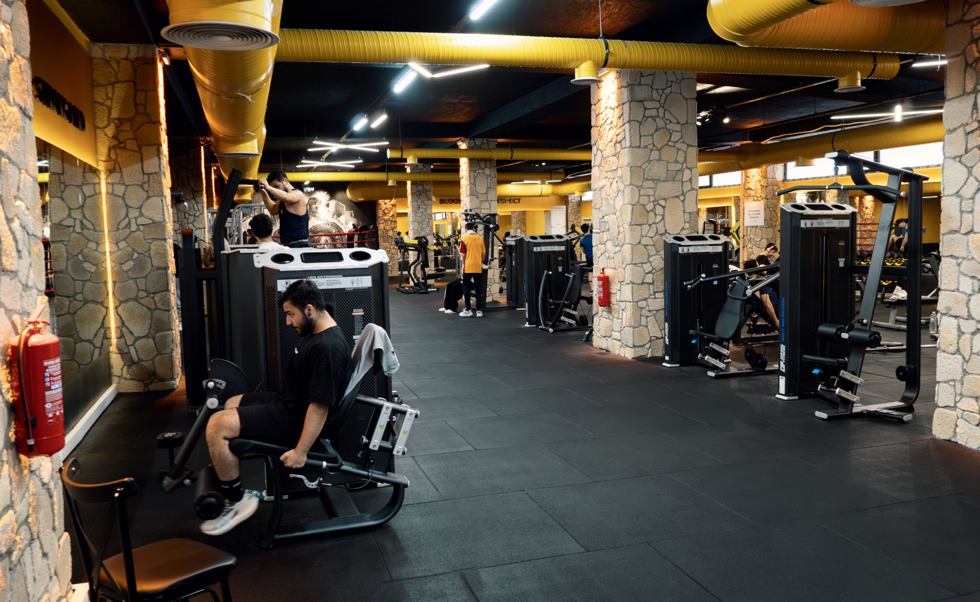 Atmosferik salon — altın ışık, taş sütunlar